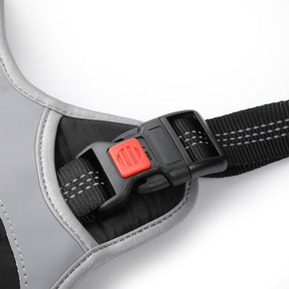 Dog Harness with Car Seatbelt