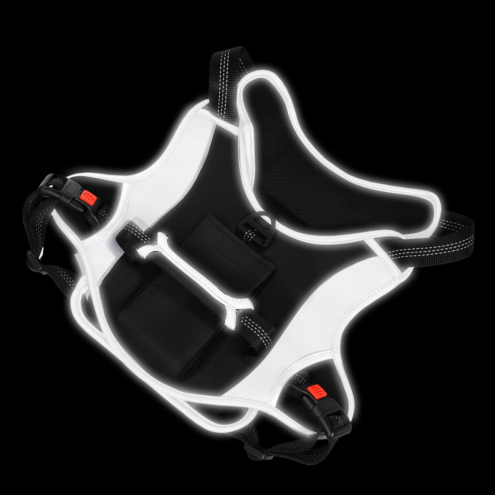 Dog Harness with Car Seatbelt