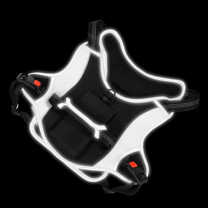 Dog Harness with Car Seatbelt