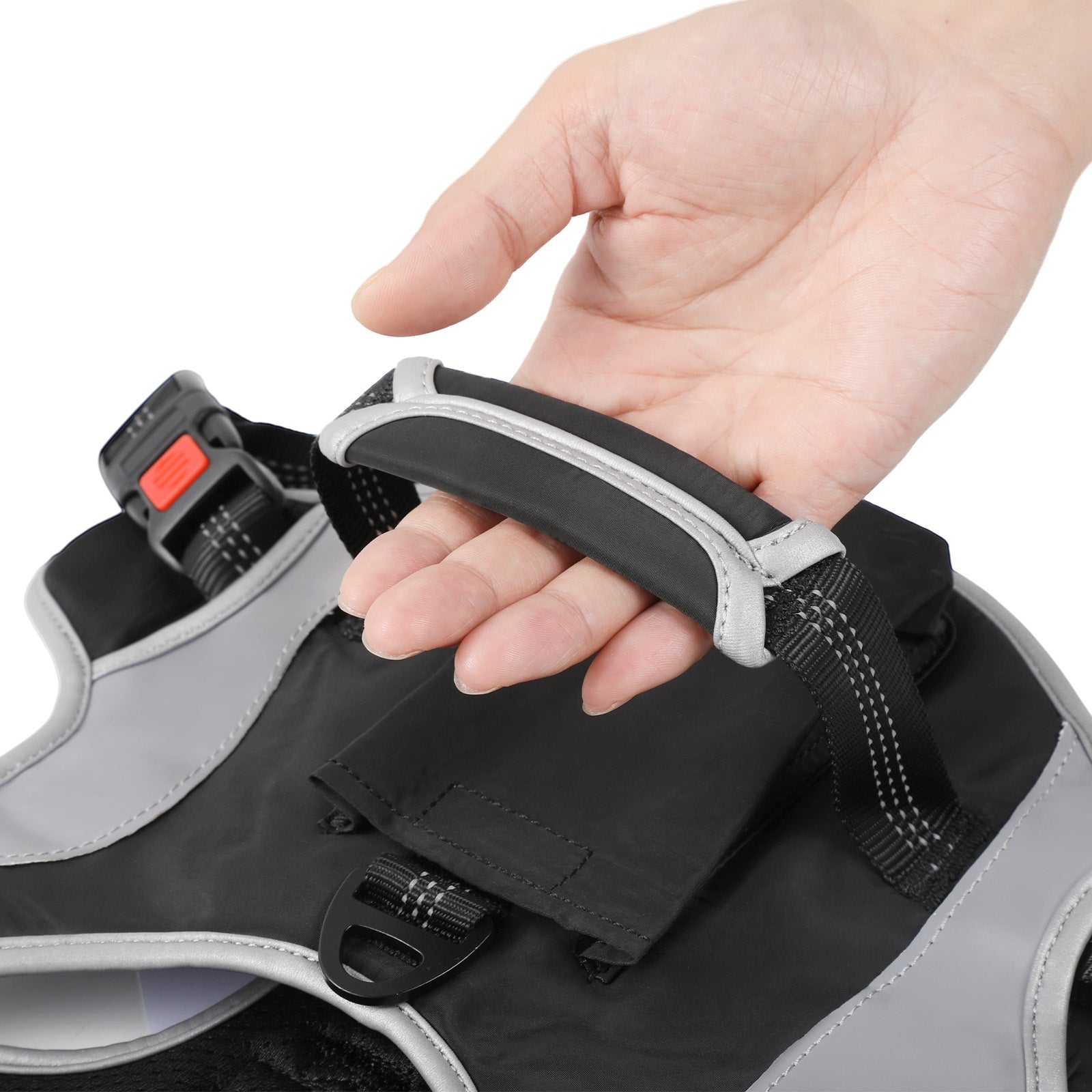 Dog Harness with Car Seatbelt