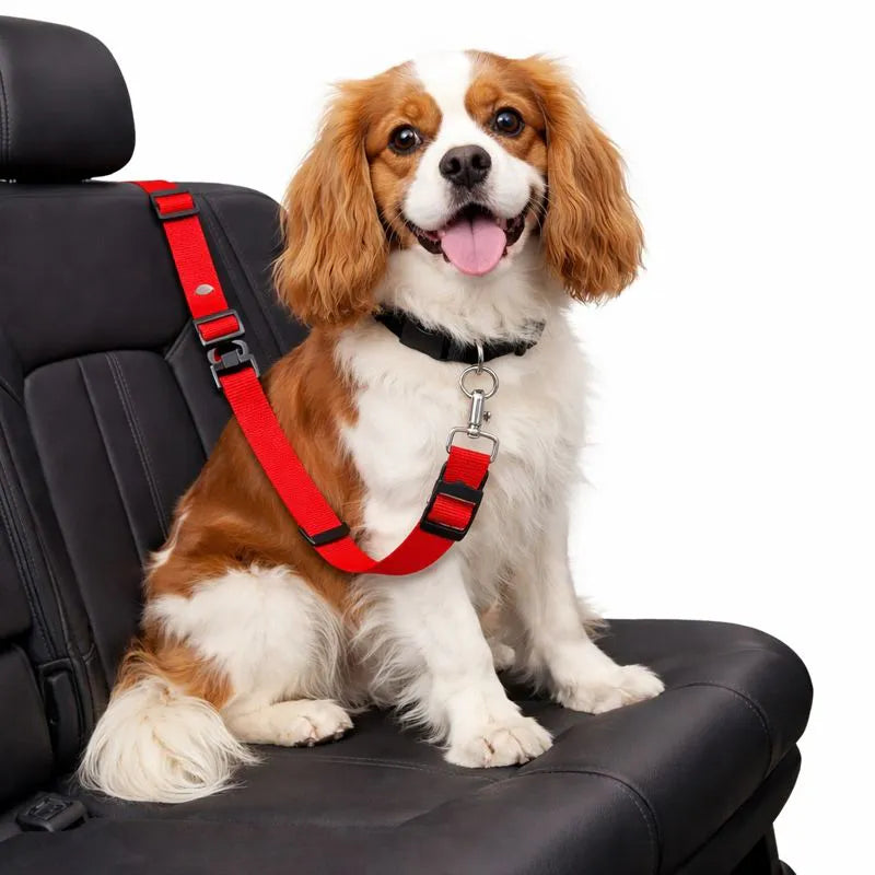 Dog Car Safety Harness with Seatbelt Buckle